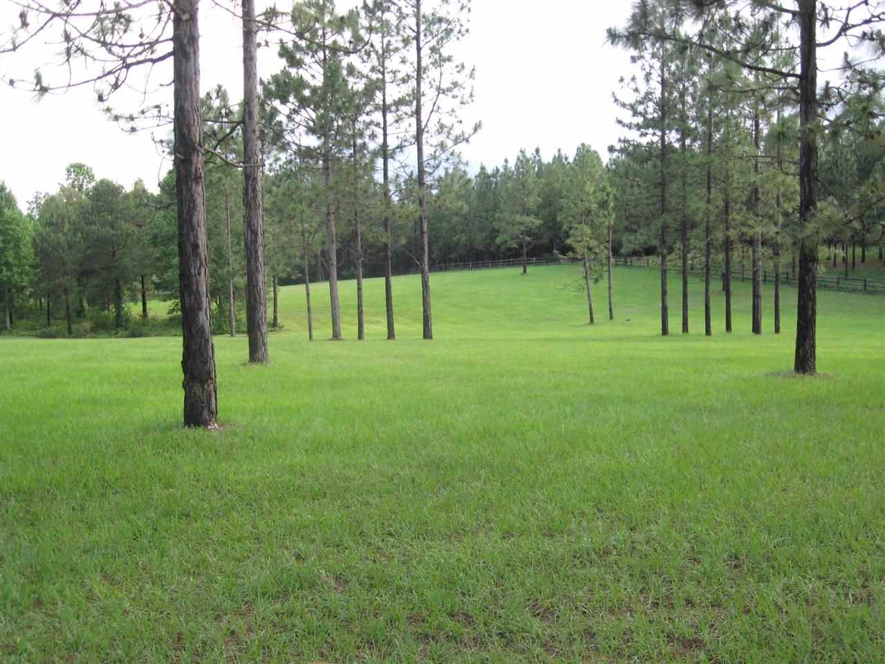 Lot #3 Youngs Road Vass, NC 28394 - Photo 10 of 14 Additional Photo