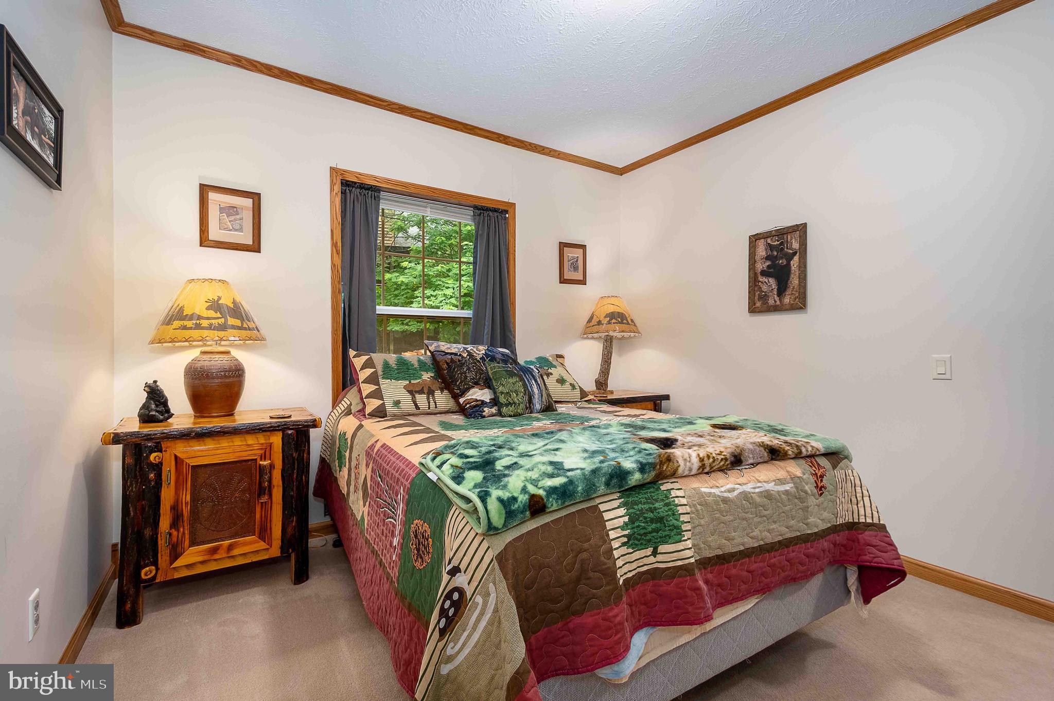 37 Skippers Point Road Oakland, MD 21550 - Photo 22 of 49