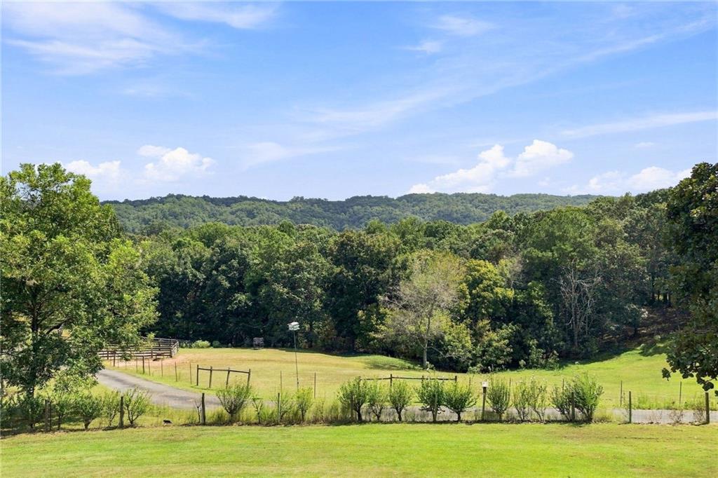3099 Hornage Road Ball Ground, GA 30107 - Photo 52 of 63 Gallery Image 52
