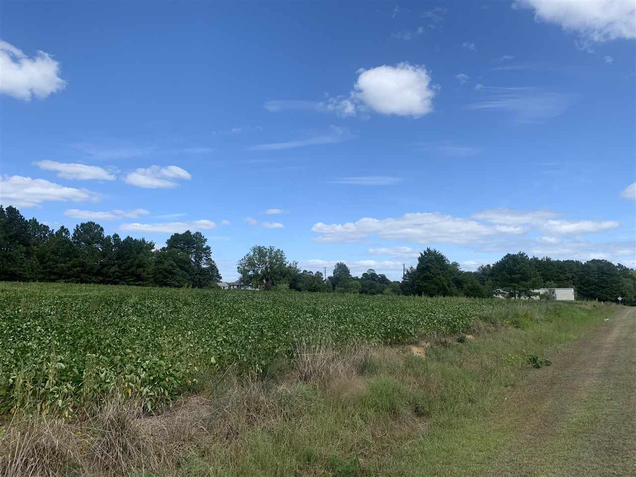 George Floyd Road Henderson, NC 27537 - Photo 2 of 5 Photo 2