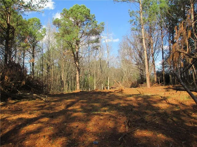 a view of empty space with trees