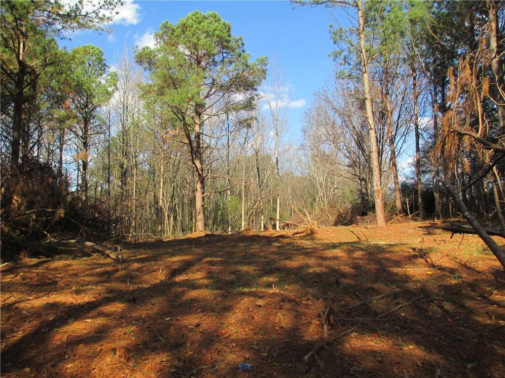 760 Carlton Johnson Road Tallapoosa, GA 30176 - Photo 12 of 13 a view of empty space with trees