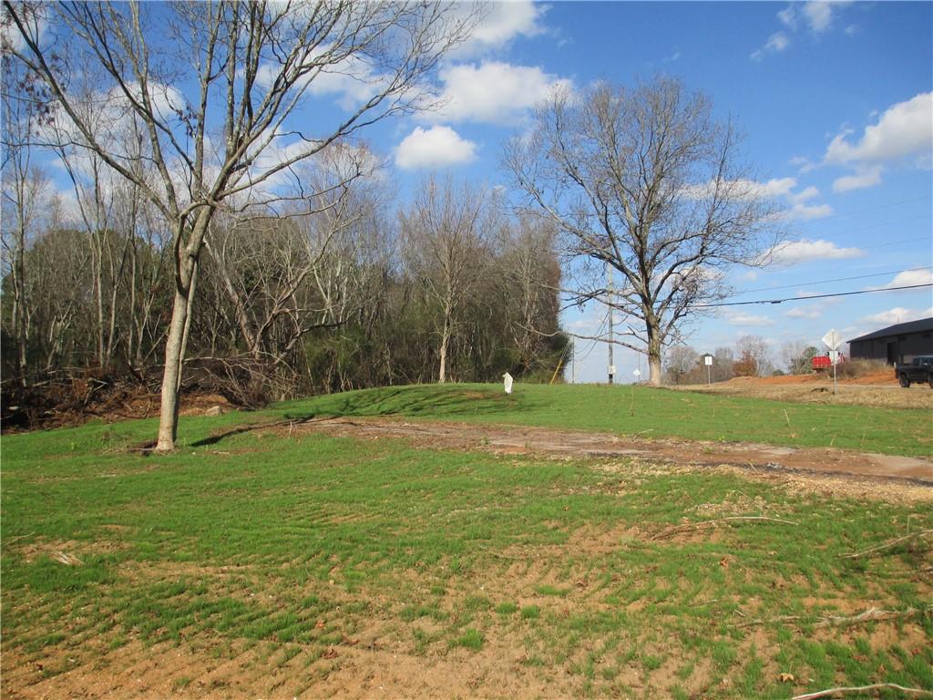 760 Carlton Johnson Road Tallapoosa, GA 30176 - Photo 3 of 13 a view of a volley ball court