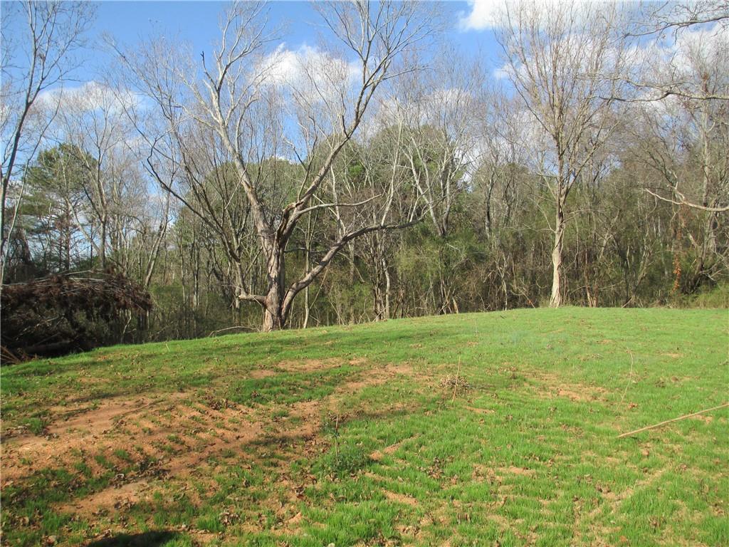 760 Carlton Johnson Road Tallapoosa, GA 30176 - Photo 4 of 13 a view of a field with a tree