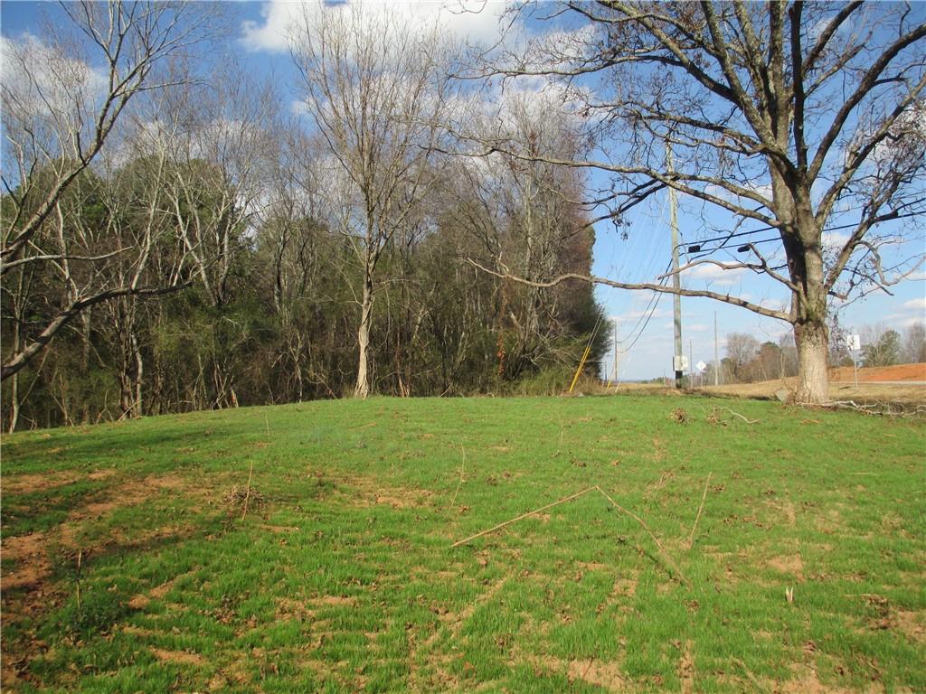 760 Carlton Johnson Road Tallapoosa, GA 30176 - Photo 5 of 13 a view of a field with plants and trees