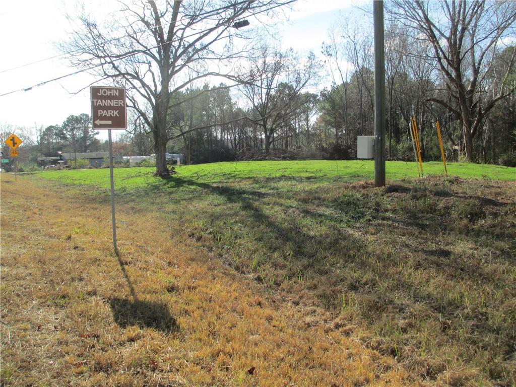 760 Carlton Johnson Road Tallapoosa, GA 30176 - Photo 6 of 13 a view of a house with a backyard