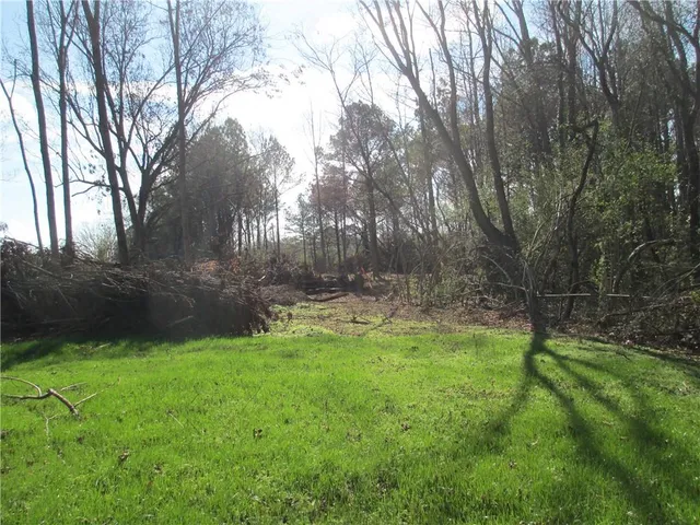 a view of backyard with green space