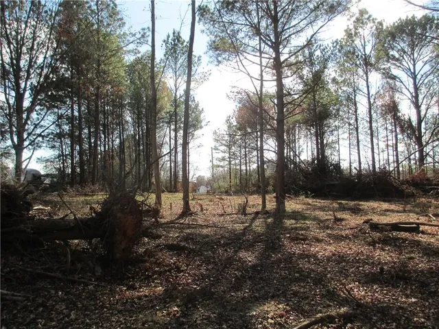 a view of outdoor space with lots of trees