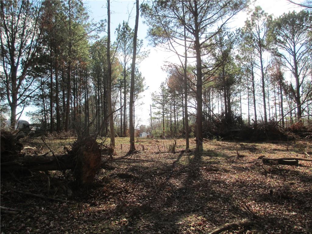 760 Carlton Johnson Road Tallapoosa, GA 30176 - Photo 9 of 13 a view of outdoor space with lots of trees