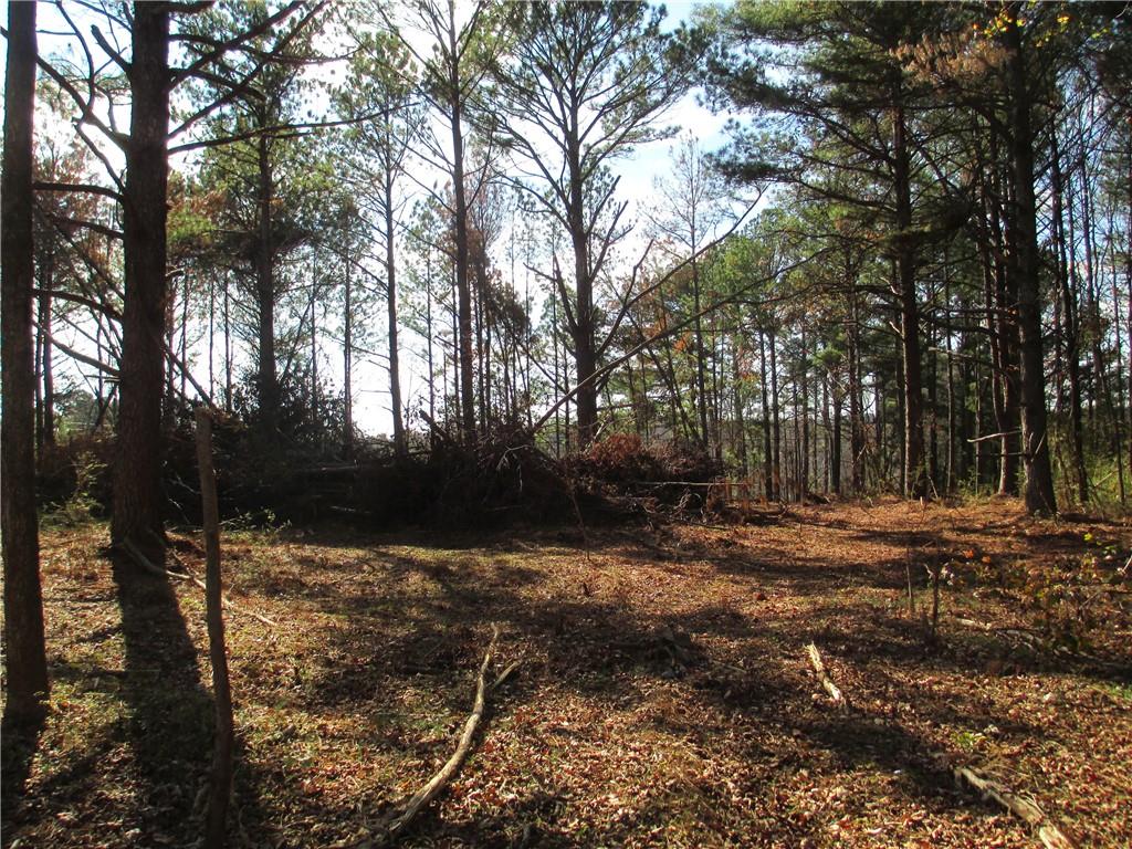 760 Carlton Johnson Road Tallapoosa, GA 30176 - Photo 10 of 13 a view of a tree with a yard