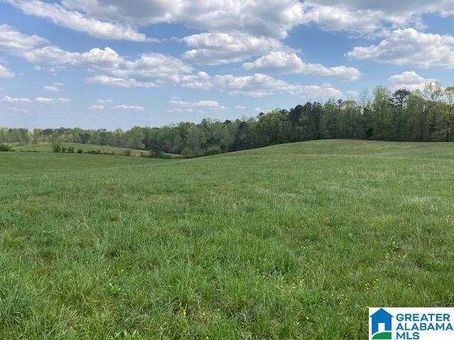 2001 Oaks Chapel Road, Unit 12 51 AC Goodwater, AL 35072 - Photo 4 of 5