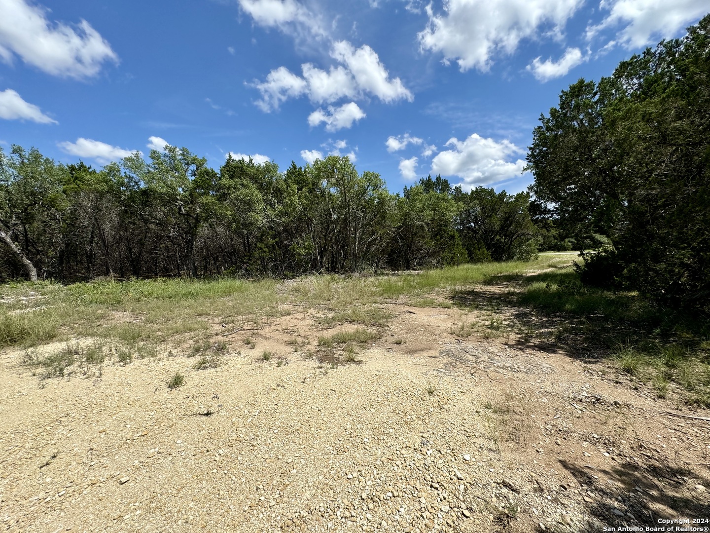 Lot 264 PR 1709 Mico, TX 78056 - Photo 14 of 22 a view of a yard with plants and trees