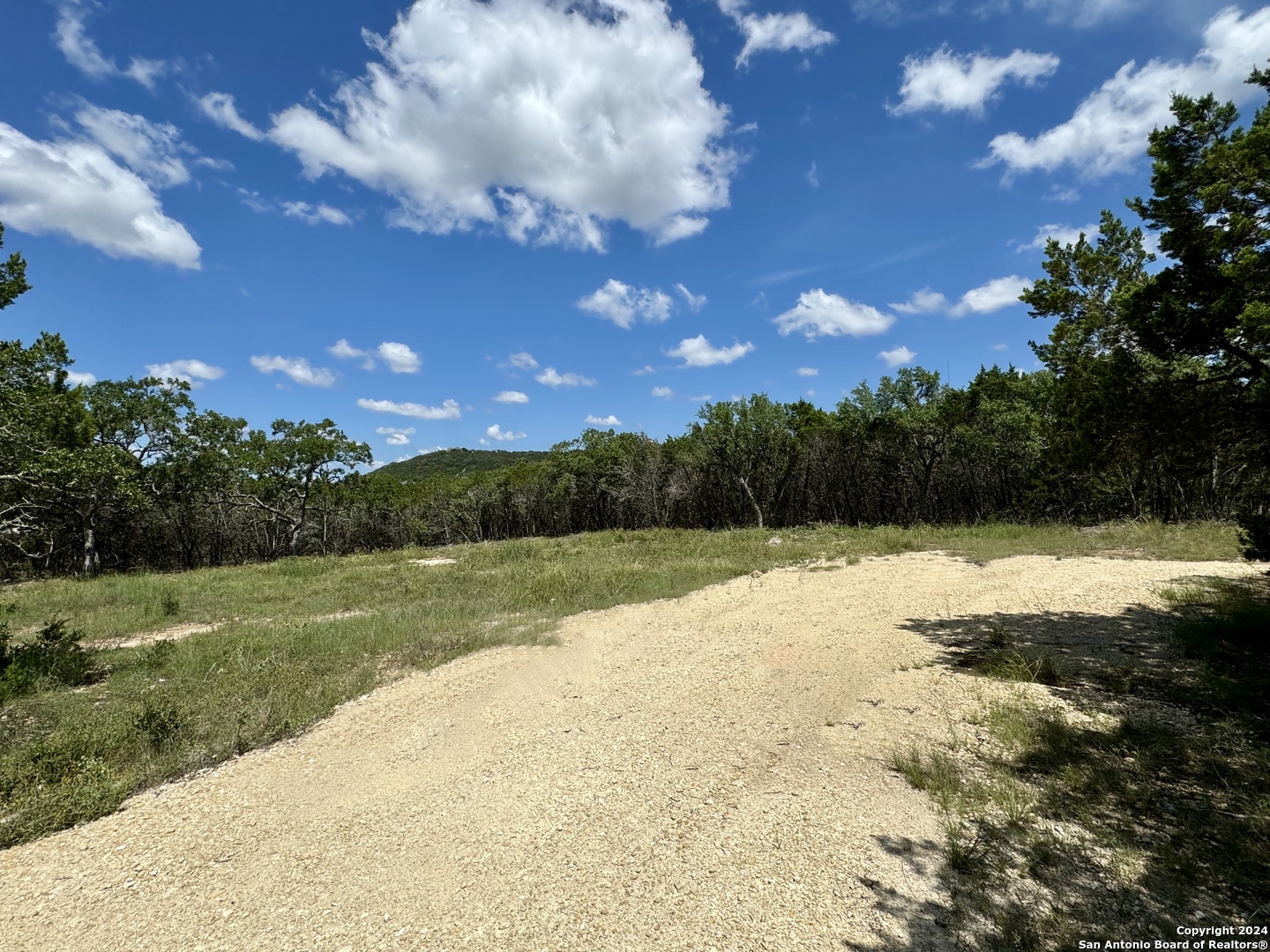 Lot 264 PR 1709 Mico, TX 78056 - Photo 6 of 22 a view of a yard