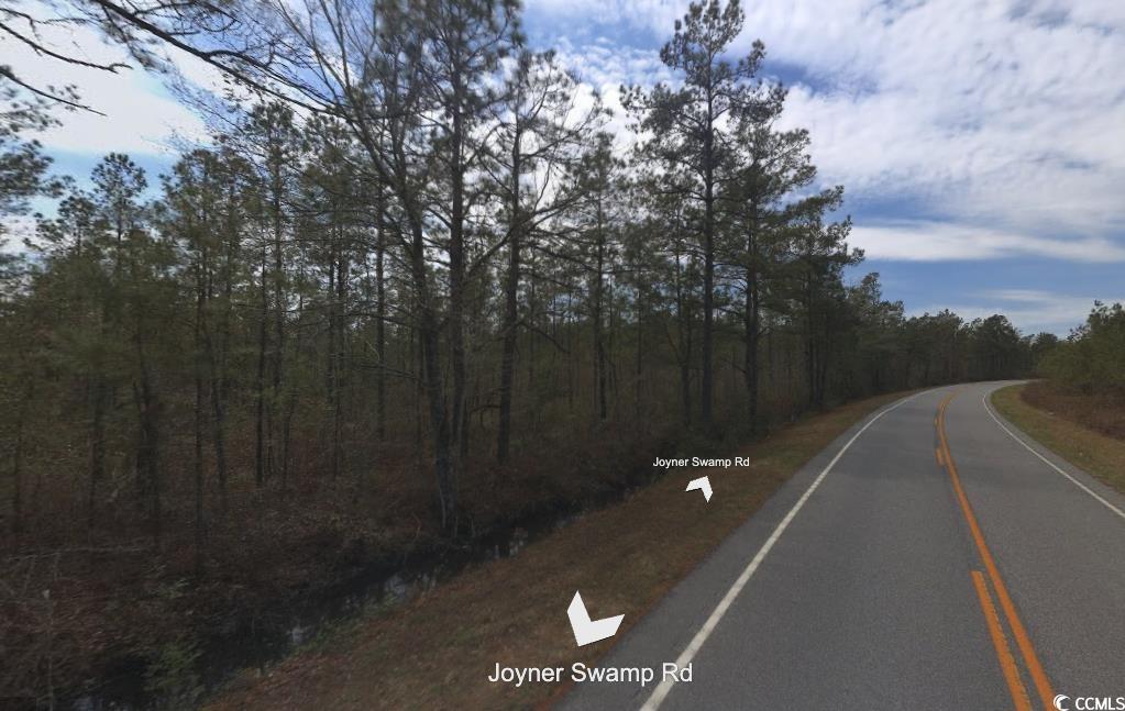 Tbd Joyner Swamp Road Aynor, SC 29511 - Photo 2 of 5 View of street