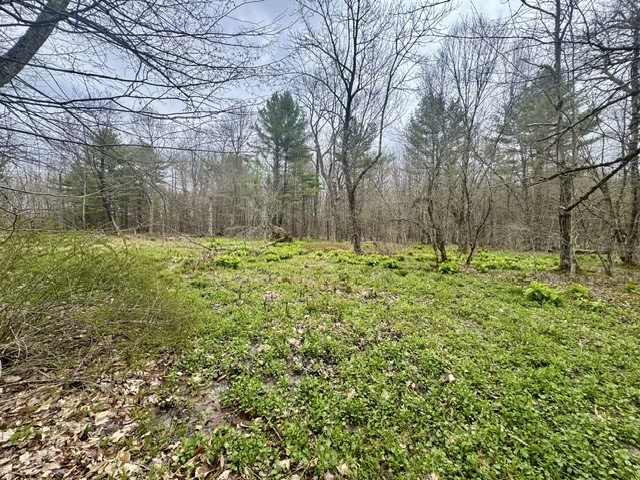 Lot 4 Shaver Hill Road Meridale, NY 13806 - Photo 11 of 44