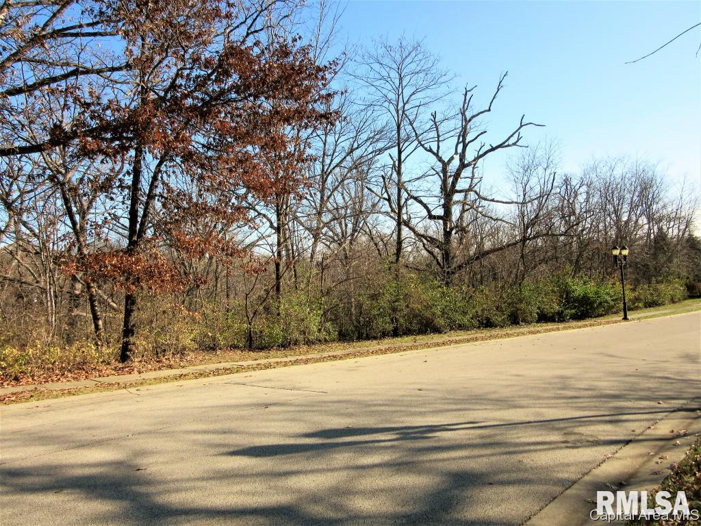 712 Lismore Lane Springfield, IL 62704 - Photo 1 of 3 Gallery Image 1