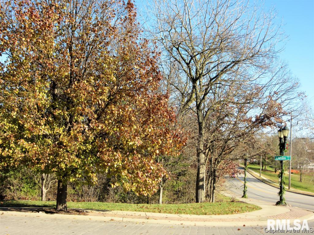 712 Lismore Lane Springfield, IL 62704 - Photo 2 of 3 Gallery Image 2