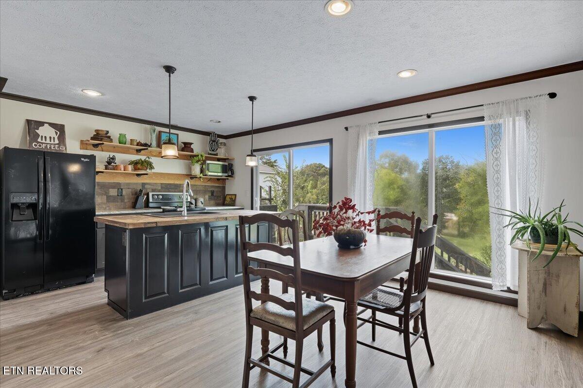 340 Trigonia Road Greenback, TN 37742 - Photo 15 of 41 Kitchen