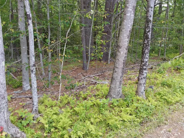 $47,500 | M19-l16-1 Augusta Road, Jefferson, ME 04348
