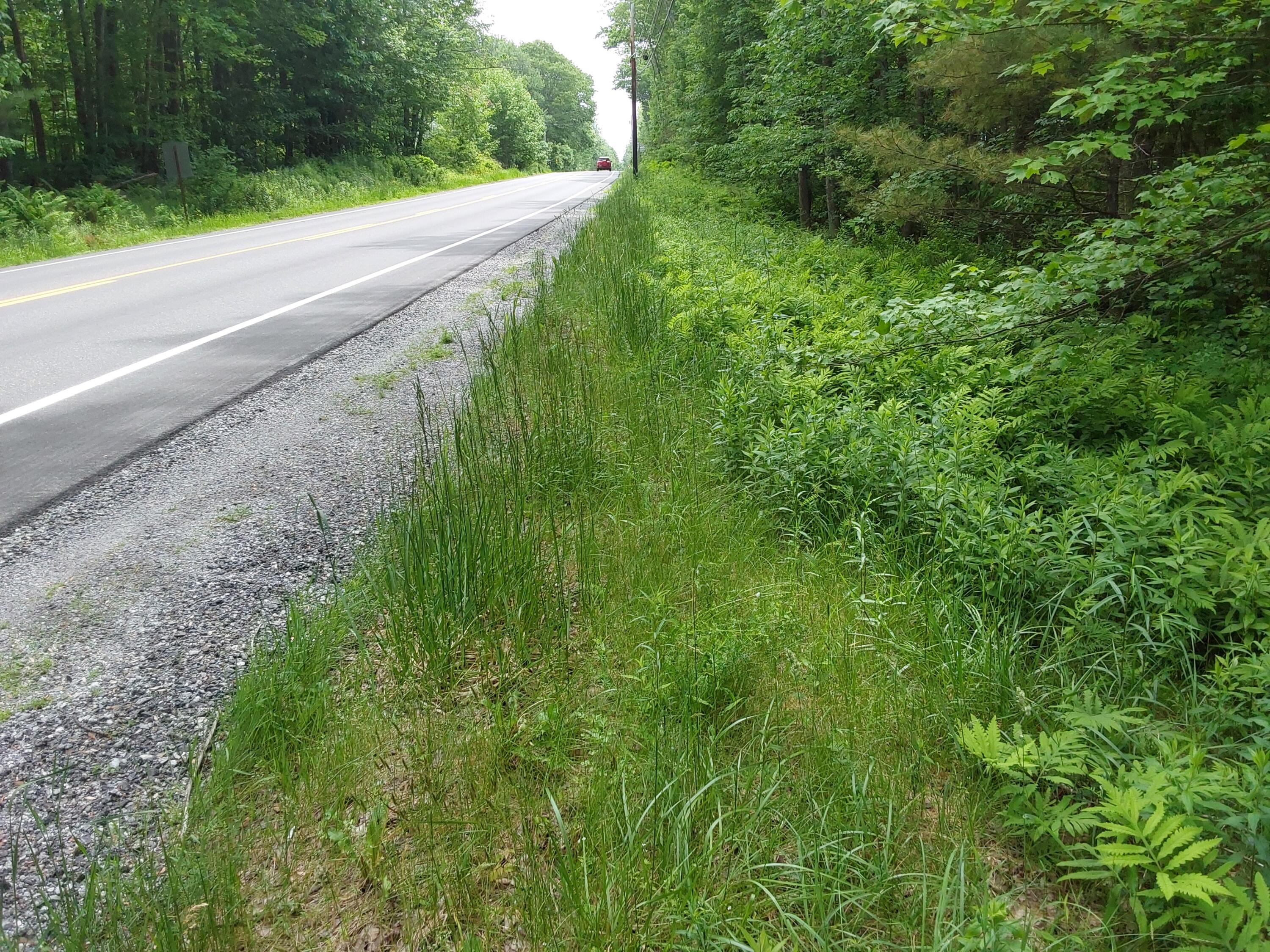 M19-l16-1 Augusta Road Jefferson, ME 04348 - Photo 3 of 6 20250609_120701