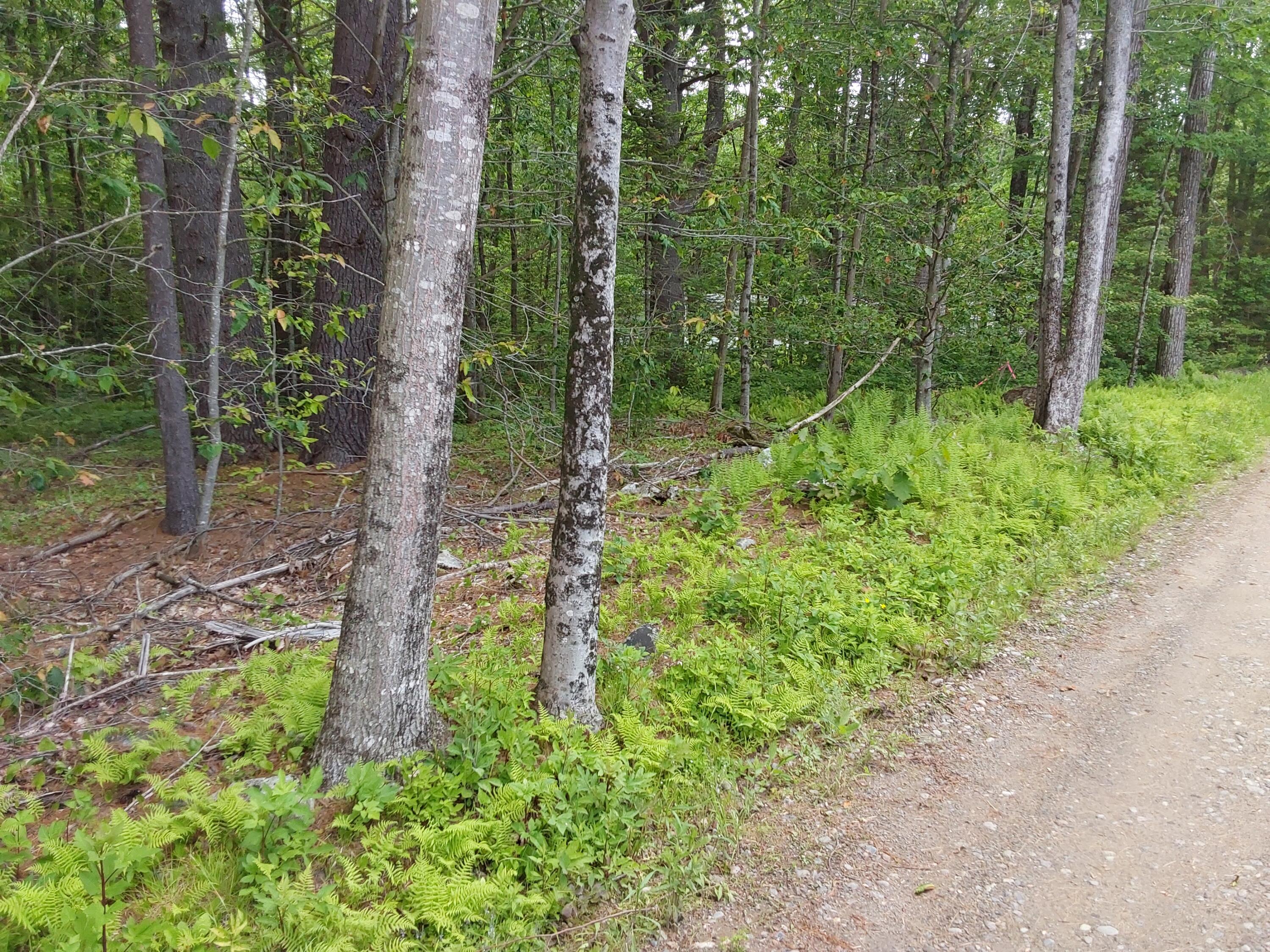 M19-l16-1 Augusta Road Jefferson, ME 04348 - Photo 6 of 6 20250609_120427