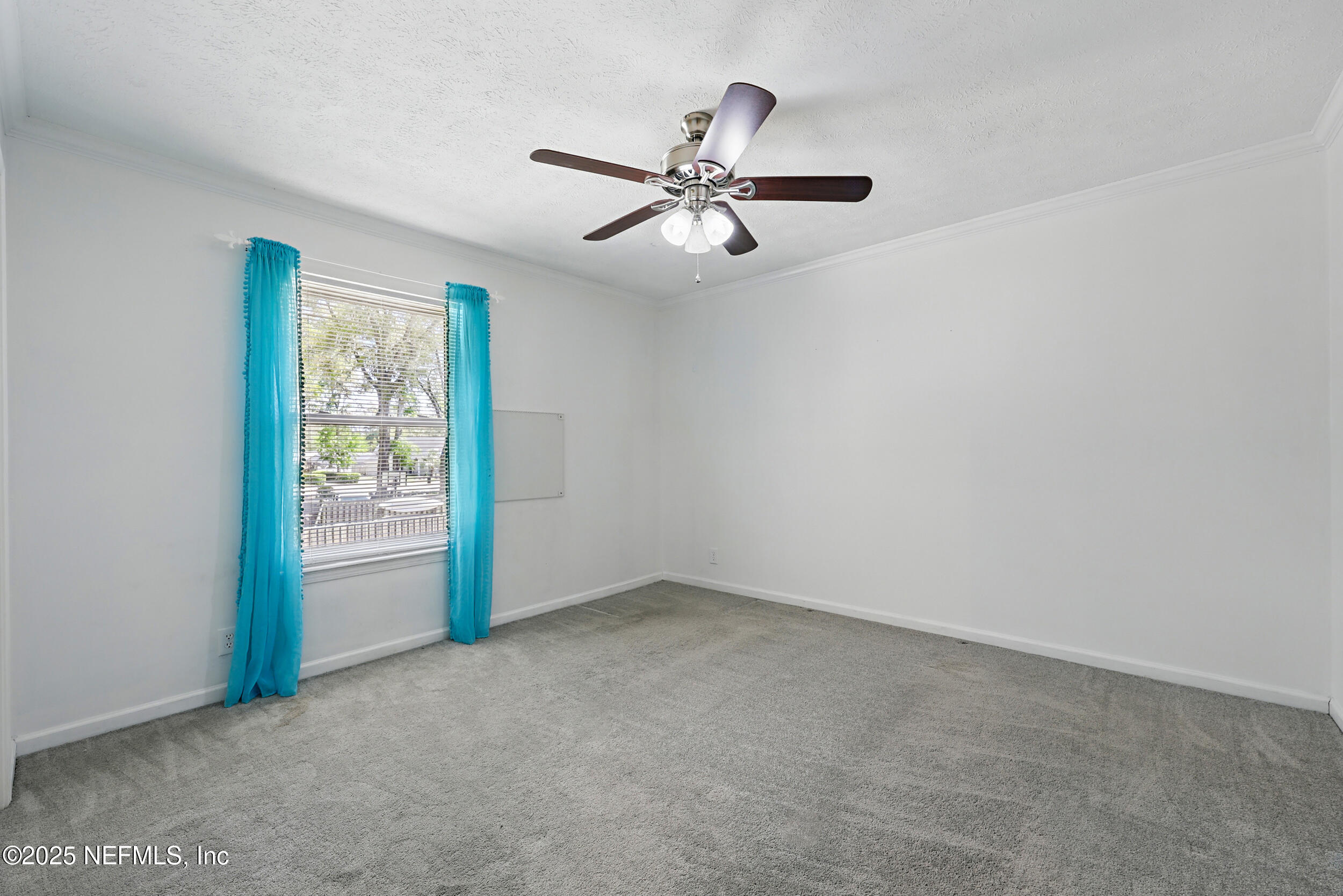 4463 River Trail Road Jacksonville, FL 32277 - Photo 26 of 34 the real estateographers_025