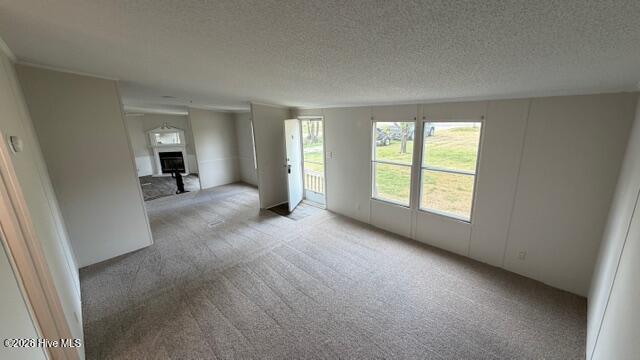 653 Old Snow Hill Road Ayden, NC 28513 - Photo 16 of 20 IMG_8973