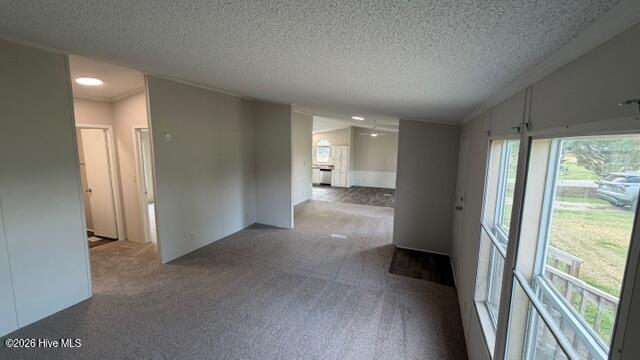 653 Old Snow Hill Road Ayden, NC 28513 - Photo 6 of 20 IMG_8984