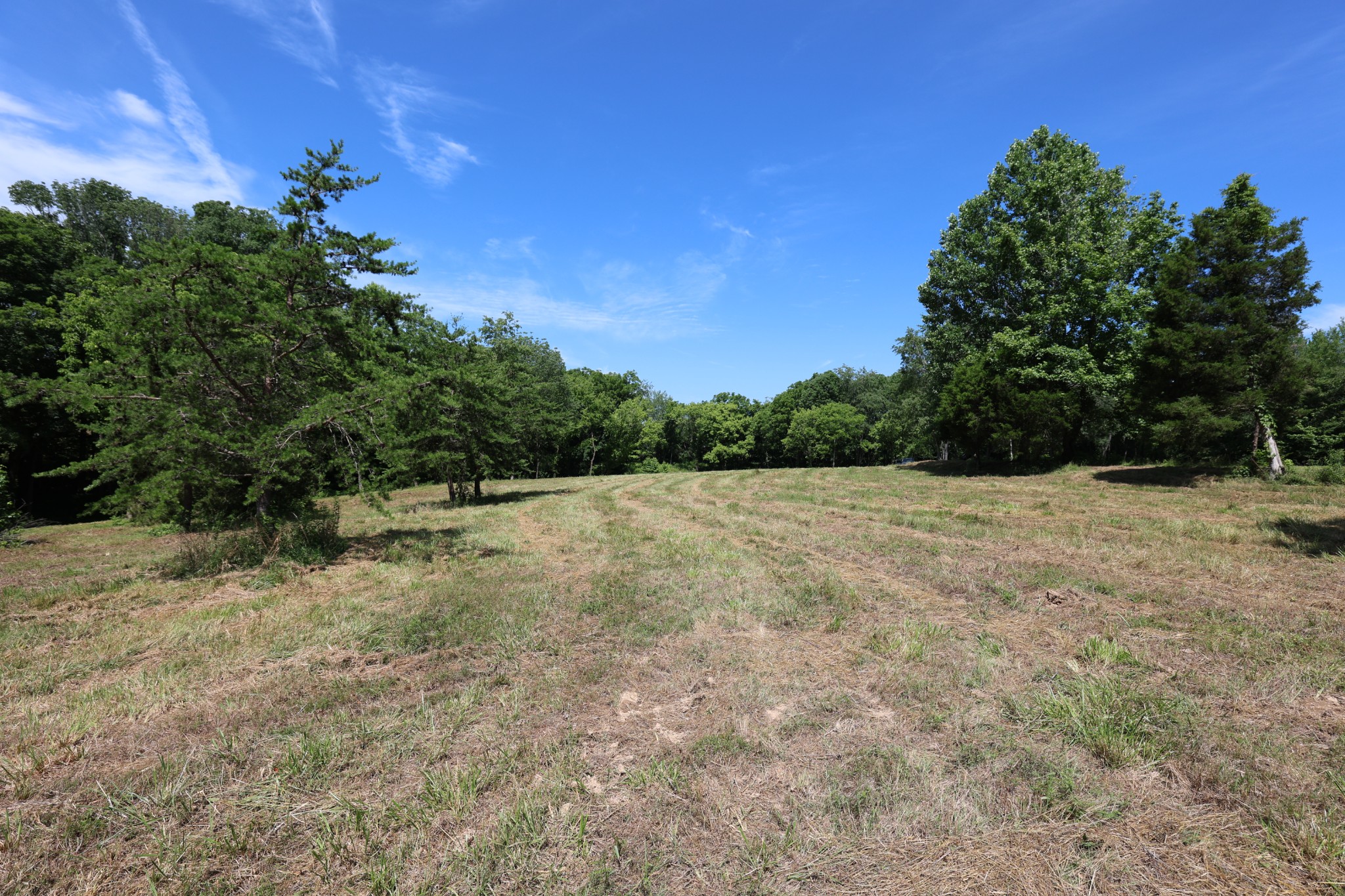 5 Poplar Ridge Lane Chapmansboro, TN 37035 - Photo 23 of 34 a view of backyard with green space