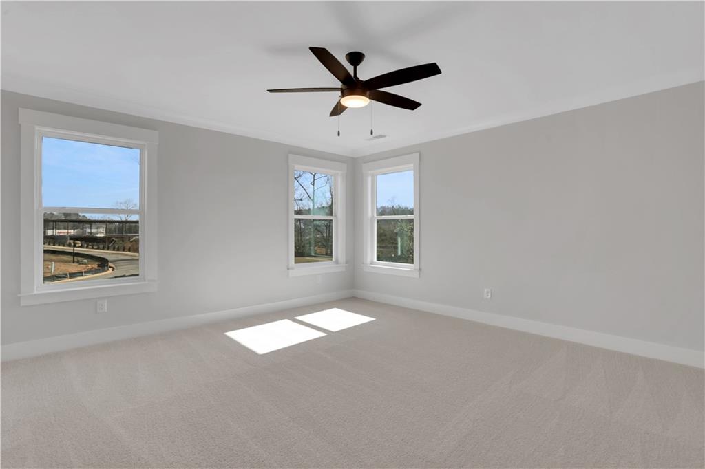 162 Marble Tree Way Ball Ground, GA 30107 - Photo 21 of 48 Gallery Image 21
