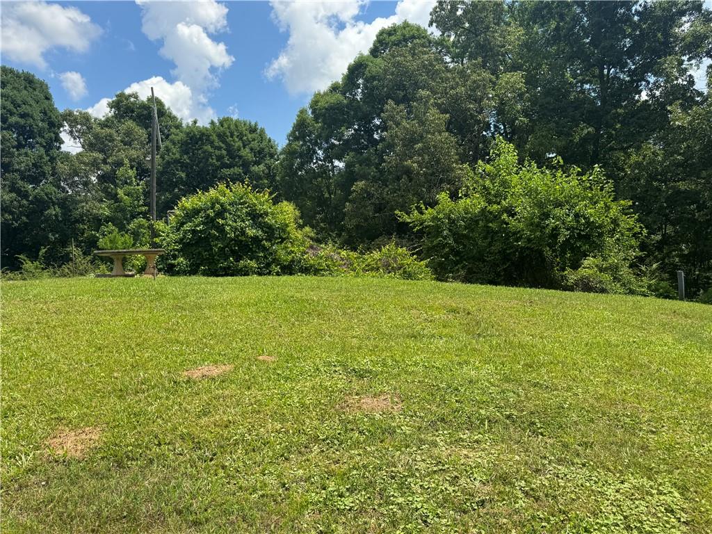 707 Sugar Valley Road Northwest Calhoun, GA 30701 - Photo 8 of 33