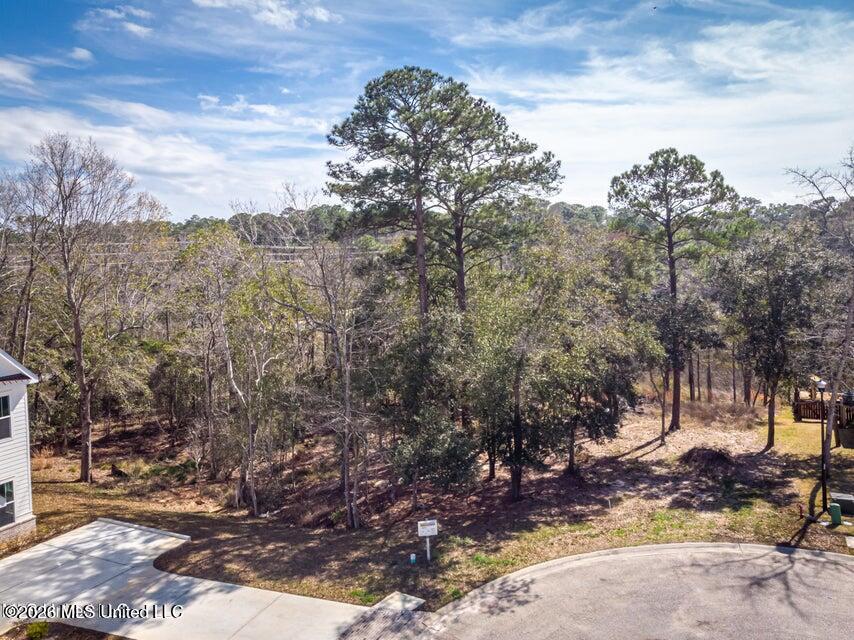 210 Bluff Cove Ocean Springs, MS 39564 - Photo 6 of 7 bluffcul