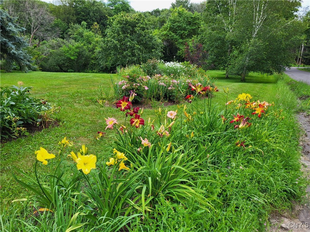 7507 Shea Road Pompey, NY 13063 - Photo 15 of 45