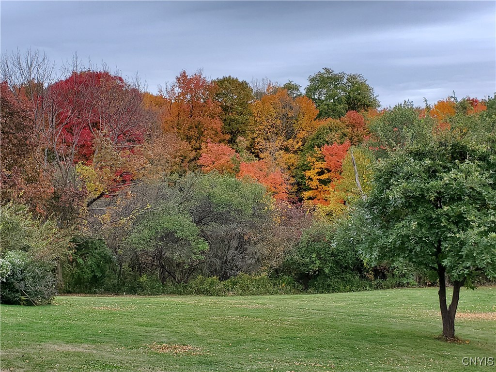 7507 Shea Road Pompey, NY 13063 - Photo 16 of 45