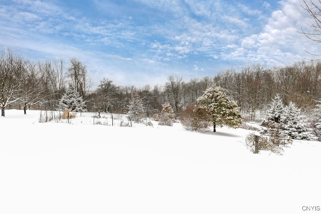 7507 Shea Road Pompey, NY 13063 - Photo 7 of 45