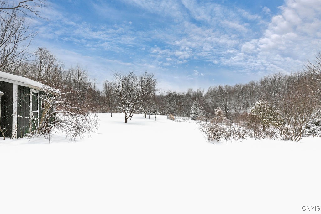 7507 Shea Road Pompey, NY 13063 - Photo 10 of 45