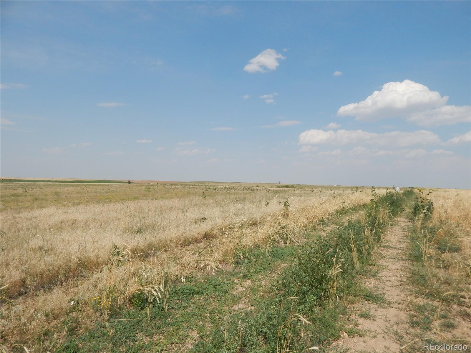 0 Schumaker Road Bennett, CO 80102 - Photo 1 of 19 Gallery Image 1