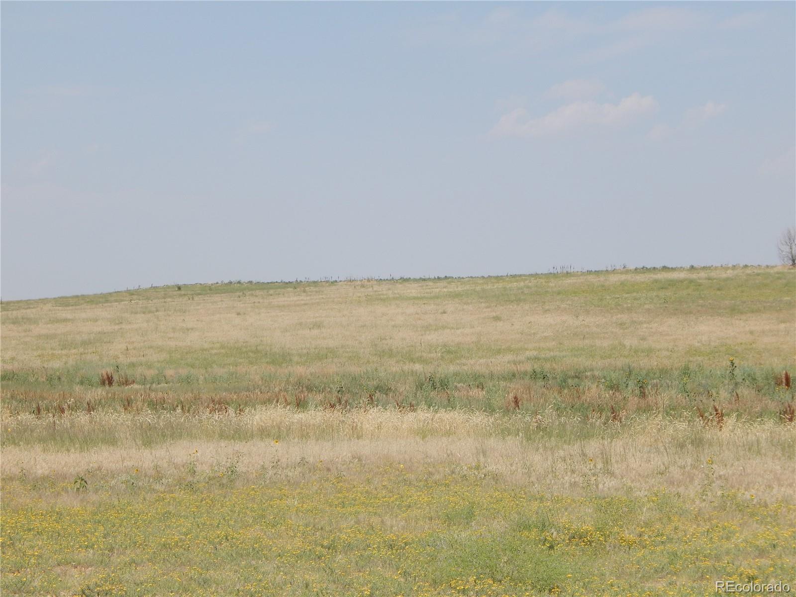 0 Schumaker Road Bennett, CO 80102 - Photo 5 of 19 Gallery Image 5