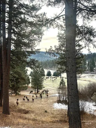 $1,050,000 | 31 Rainbow Ridge Road, Garden Valley, ID 83622