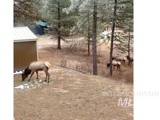 31 Rainbow Ridge Road Garden Valley, ID 83622 - Photo 30 of 33 View of elk in backyard