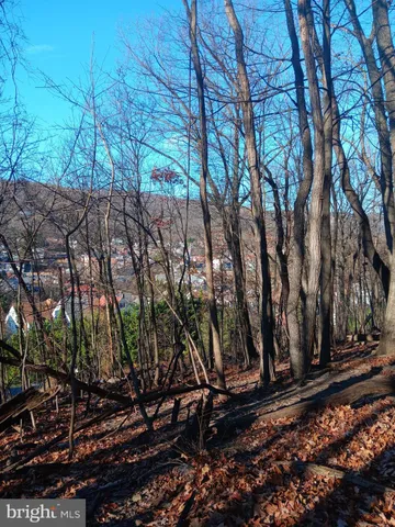 $38,000 | Gray Avenue, Cumberland, MD 21502