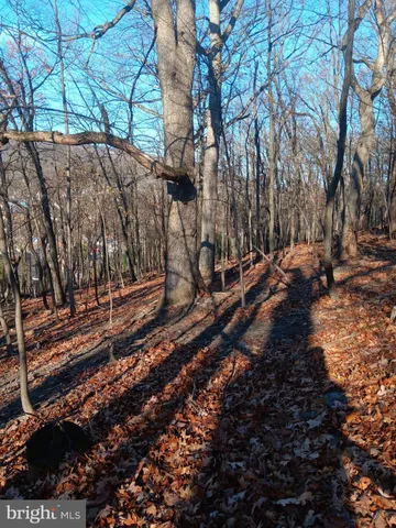 $38,000 | Gray Avenue, Cumberland, MD 21502