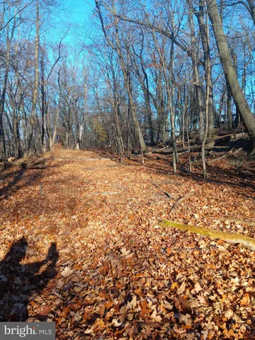 a view of backyard with green space