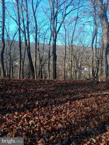 a view of outdoor space and yard