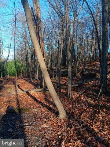 a view of a yard with lots of green space