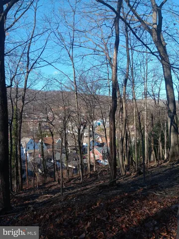 a view of backyard with green space