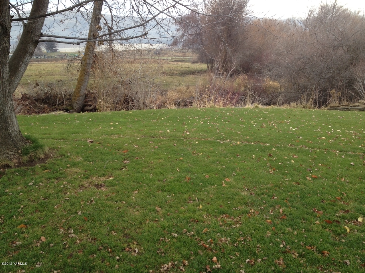 8004 Rutherford Road Yakima, WA 98903 - Photo 7 of 42 a view of yard with trees