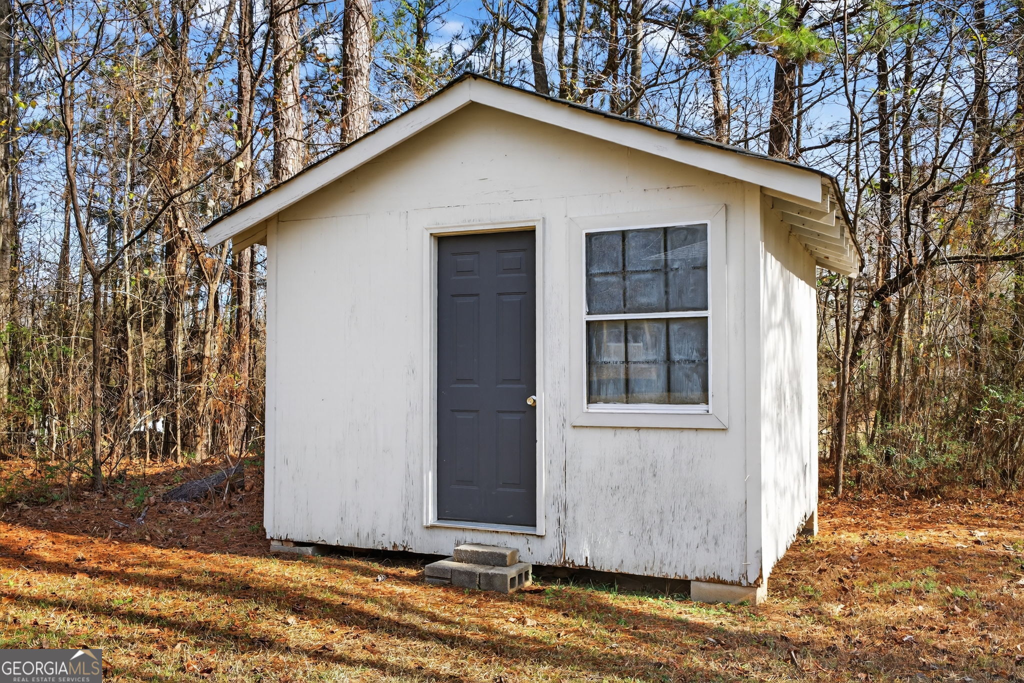 245 Glazier Road Senoia, GA 30276 - Photo 29 of 33