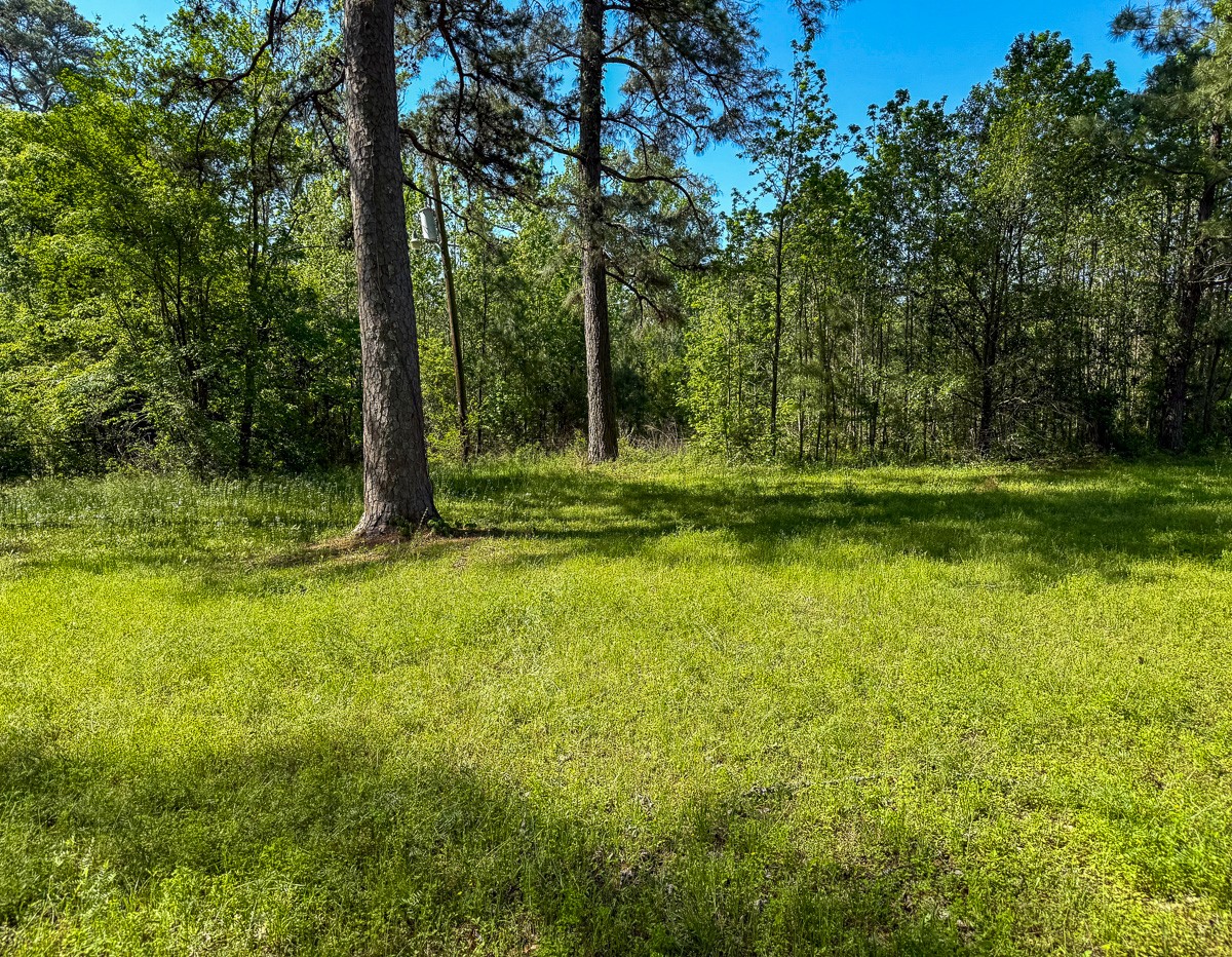0 Old Houston Road Huntsville, TX 77340 - Photo 1 of 12 Gallery Image 1