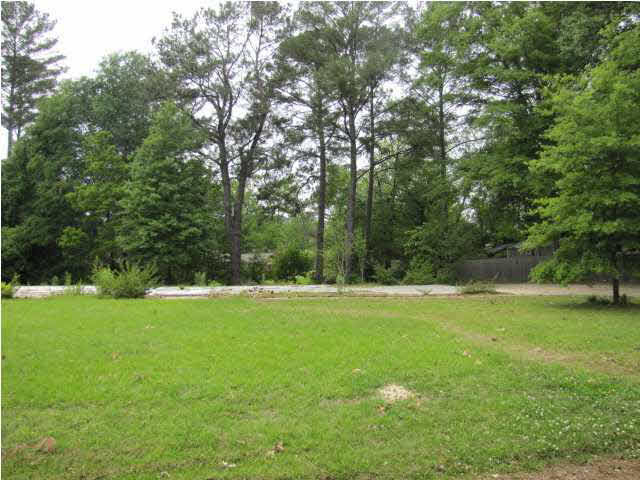 102 High Street Brandon, MS 39042 - Photo 1 of 1 Photo 1